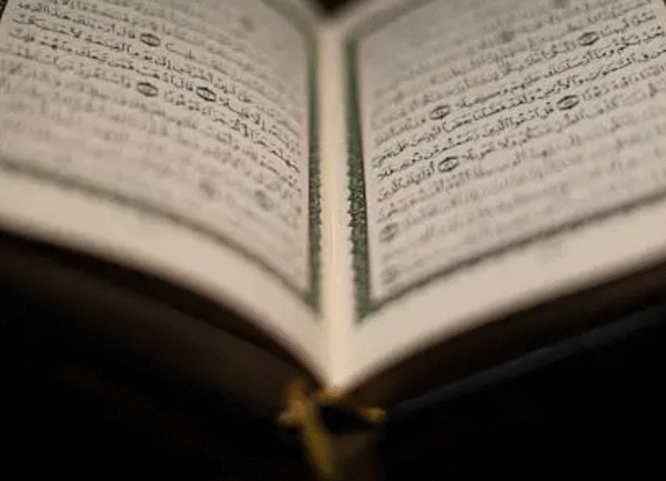 Untitled design - 2025-09-02T123807.437